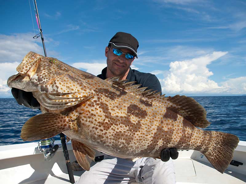 Grouper fishing in Destin